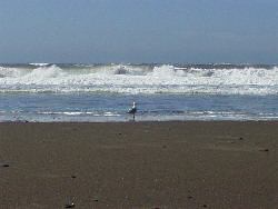 Manchester Beach